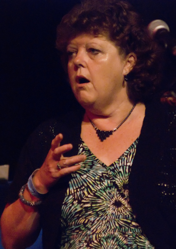 Orchestra in Folkus  - Sue Bousfield 