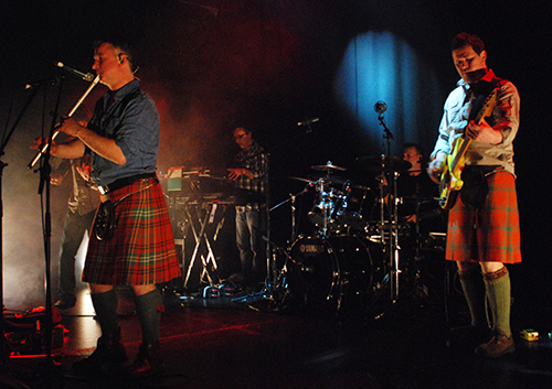 Peatbog Faeries