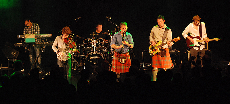 Peatbog Faeries