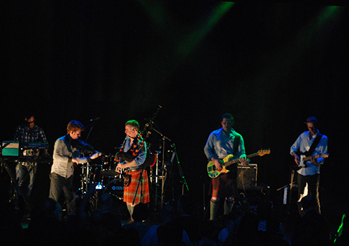 Peatbog Faeries