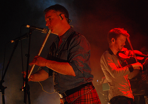 Peatbog Faeries