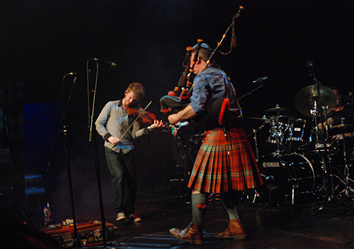 Peatbog Faeries