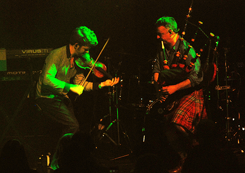 Peatbog Faeries