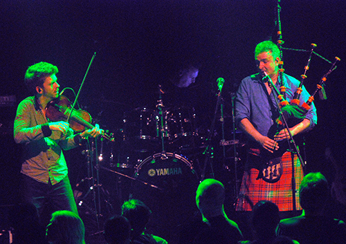 Peatbog Faeries